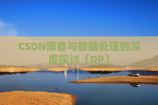 CSDN博客与数据处理的深度探讨（DP）